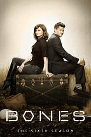 Season 6