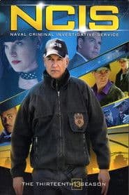 Season 13